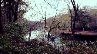 preview picture of video 'Suwannee River State Park Florida'