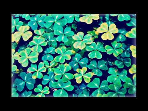 Jerzy Matuszkiewicz (Czterdziestolatek) - Optymistyczny nastrój (1974)