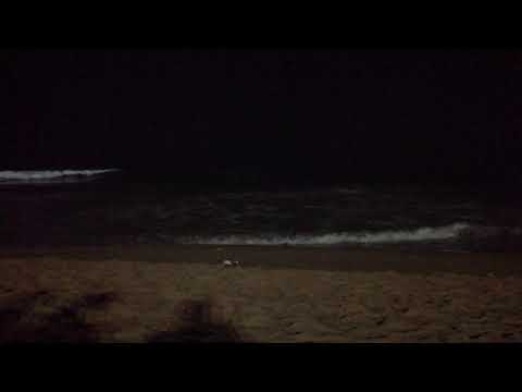 Puri beach video....