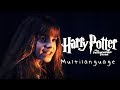 Harry Potter She Needs To Sort Out Her Priorities One Line Multilanguage