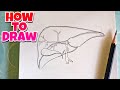 how to Draw Liver, Human Digestive system, Liver Diagram