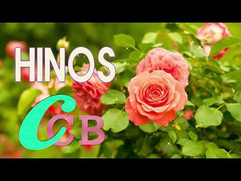 Hino 394,247,007,454   CCB Lindos Hinos Cantados Congregação Cristã no Brasil