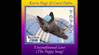 Karin Nagi & Carol Hahn  Unconditional love Julian Marsh radiomix)