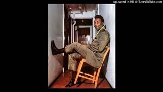 MUDDY WATERS - MESSIN&#39; WITH THE MAN