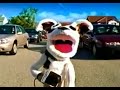 Pets Com Please Don T Go TV Commercial 2000