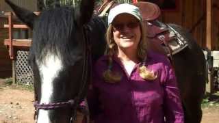 preview picture of video 'Colorado Springs Horseback Riding'