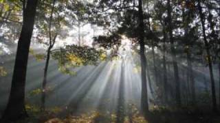 In Memory Of My Loved Ones, Ships of Heaven.wmv