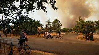 Evakuierungen und Notstand: Waldbrände in Frankreich und Spanien außer Kontrolle