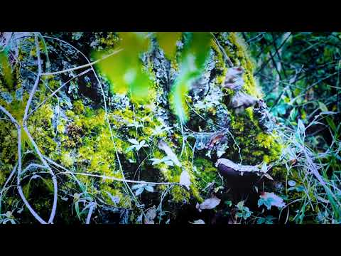 ITZVAN DJ Set - Live @ The Shelter Sun-Day Party @ Sounds of Earth (vinylonly)