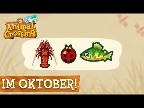 Alle EVENTS, INSEKTEN & FISCHE im OKTOBER » Animal Crossing New Horizons 🌴