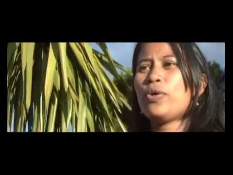 ANTSAN'NY RIANA  Lalan tsarotra, Ilay jamba, Matokia