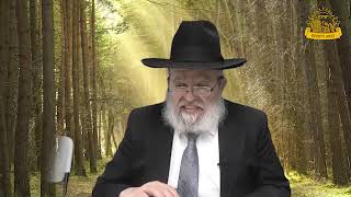 דף היומי בחצי שעה – סנהדרין דף צ”ד