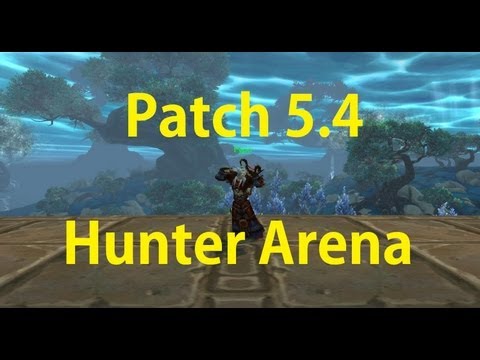 5.4 Arena - BM Hunter PvP - Arena is Broken? - World of Warcraft - Patch 5.4