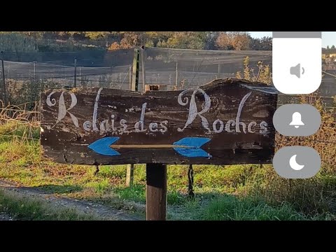 ANDANDO A LA CAMPA DE VERONA