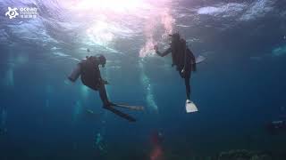科摩多 大水族館