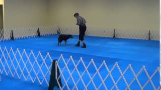 Zoe Blue Blue 05-26-14 01