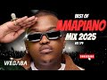 BEST OF AMAPIANO MIX 2025 VOL179 DJ WEBABA