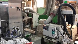 MÁY LÀM MỘNG ÂM DƯƠNG CNC 2 đầu 4 dao  Woodmaster Woodmaster tốt nhất rẻ nhất Tp Hcm