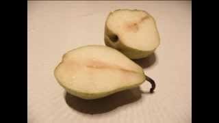 Clap Your Hands Say Yeah - Blue turning gray