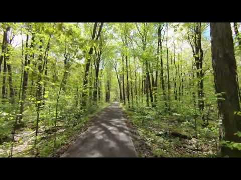 Devocional Diário #50 Prepare-se