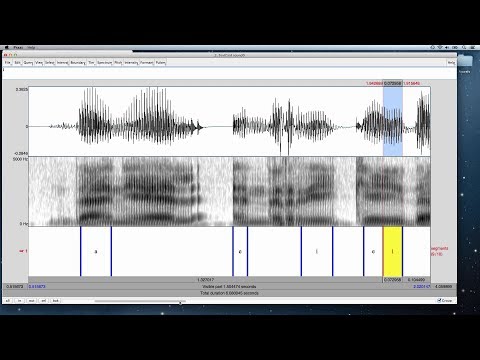 AD3-1: Labeling Vowels