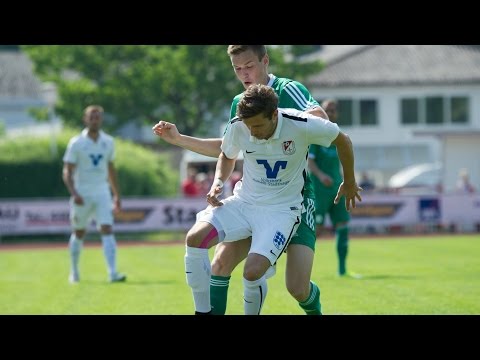 SpVgg Bad Pyrmont  - TuS Sulingen