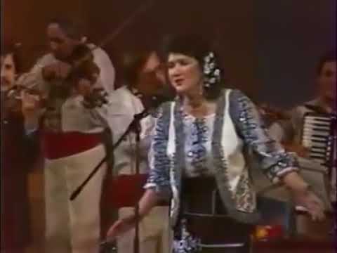 Zinaida Julea - Arde o luminiță-ncet, orchestra ''Fluieraș'',  dirijor  -  Maestrul Serghei Ciuhrii