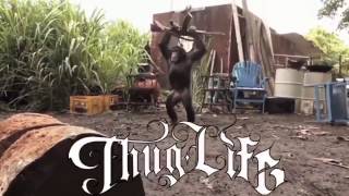 [問卦] 教黑猩猩用火會怎樣