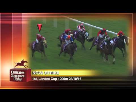 Emirates Singapore Derby 2017 Contenders (Nova Strike)