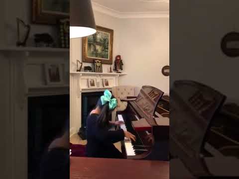 Peskanov Joker's Waltz - Savannah Li