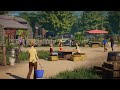 Building a cozy farm park in Planet Zoo franchise mode!