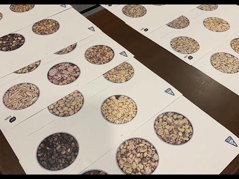 SCA Green Coffee Foundation ARISE+ Day 1