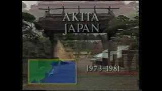 Our Lady of ALL NATIONS 2 Blessed Virgin Mary in Akita JAPAN 1973