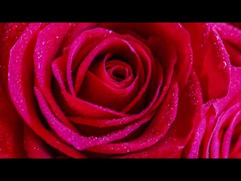 Relaxing Beautiful Romantic Instrumental Music "Valentine Music" by Tim Janis