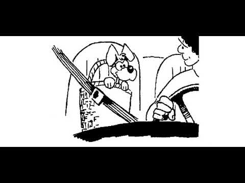 Curs de limba Engleza avansati - Lectia 7