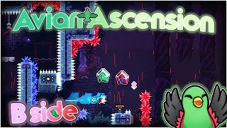 Avian Ascension (B-Side)