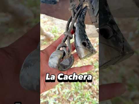 The Cachera, a tool used by the plainsman to handle Creole cattle - Plains work part 15