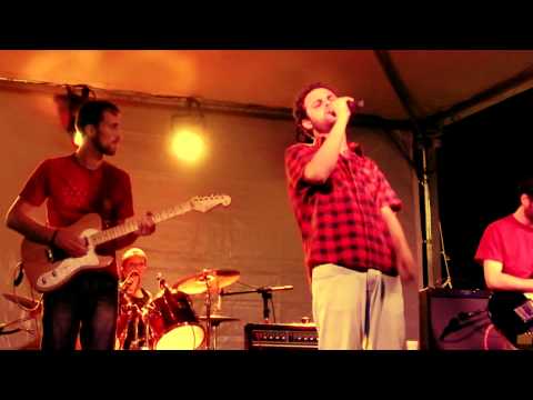 Revelia video