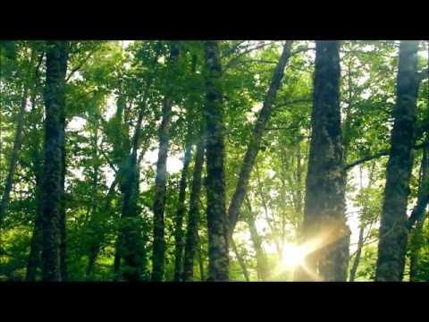 Freedom Satellite feat Kudra Owens - Running Fast