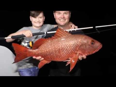 IFISH for Mangrove Jack in the Kimberley