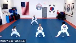 Live Class - Green Stripe - 6.16.20 @ 3:45pm