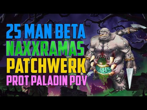 25 Man Patchwerk Prot Paladin POV - WotLK Classic Beta