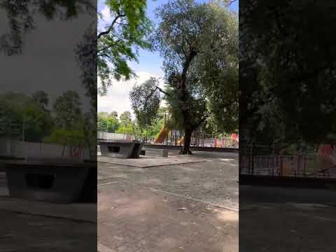 Me fascina realmente caminar por el parque General Paz del barrio de #saavedra #walking #shorts