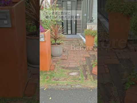 aménagement jardin paysager -autour-piscine-jardin-sec