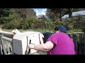 Leslie The Apple Cannon