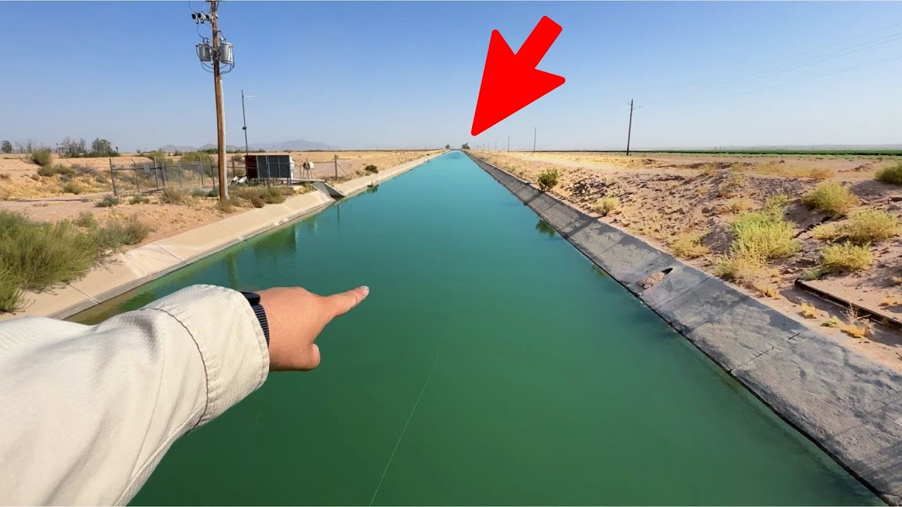 Are There Still Big Fish in This Desert Canal? (Unexpected)
