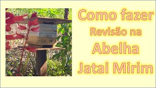 Dicas de como fazer revisão na abelha Jatai Mirim