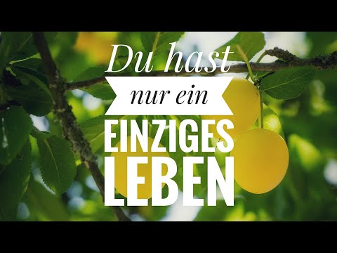 Du hast nur ein einziges Leben - Pfarrer Wilhelm Busch