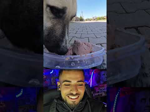 ههه غير الماكلة 😁 صحابلو شي سبع 🐅