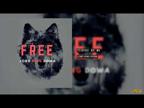 Lobo King Dowa - Pienso En Mi (Audio Oficial)